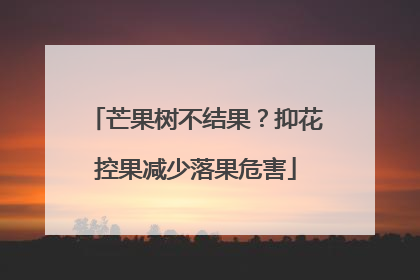 芒果树不结果？抑花控果减少落果危害